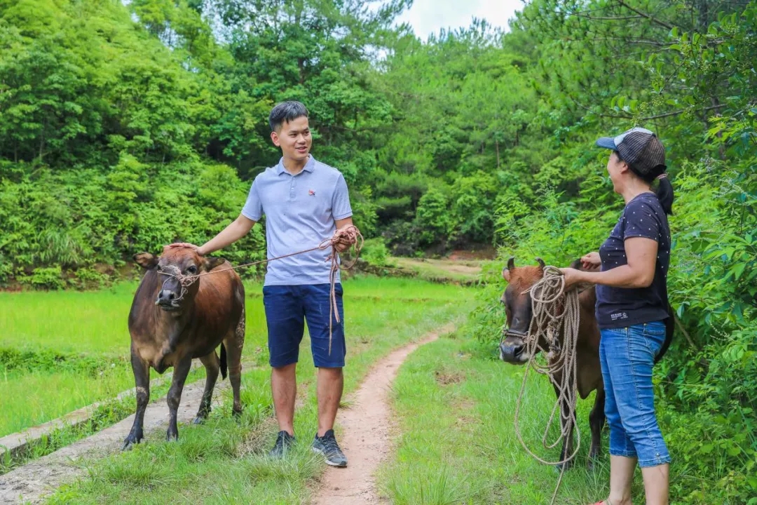 喜讯|白云山hibet海博网公司驻村干部巫小锦荣获广东省2019-2020年脱贫攻坚事情突出孝顺小我私家转达表扬